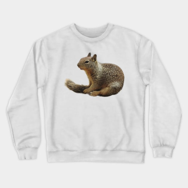 Squirrel, wildlife, Squirrely Cuteness Crewneck Sweatshirt by sandyo2ly